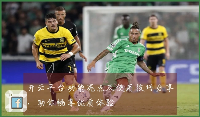 开云平台功能亮点及使用技巧分享，助你畅享优质体验