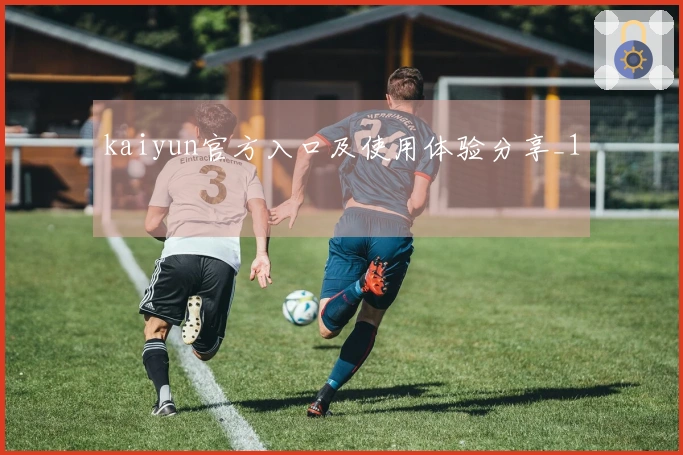 kaiyun官方入口及使用体验分享_1