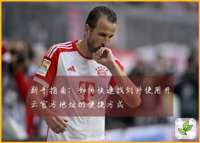 新手指南:如何快速找到并使用开云官方地址的便捷方式